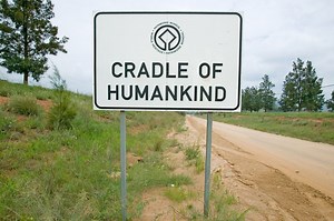 Everything You Need to Know to See the Cradle of Humankind Properly