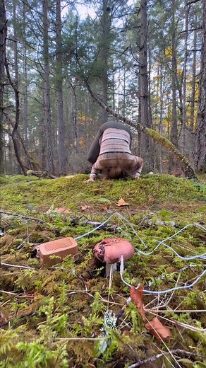 Fungi appear so still, but they’re buzzing with bioelectricity! @plantwave detects this energy with electrodes and translates it into music! Bioelectricity is produced when ions move in and out of cells. These natural voltage changes shift with things like moisture, temperature, and touch! PlantWave converts this into music, creating a sonification of the fungus’s bioelectrical activity! #fungi #fungus #nature #mushroom | The Nature Educator