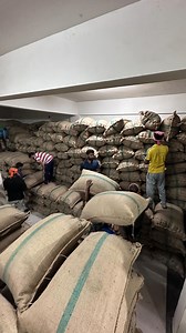 Cardamom 100 MT #cardamom #kerala #spices #maharashtra #idukki #india #bussiness #power #gujarat | Tjk Spices
