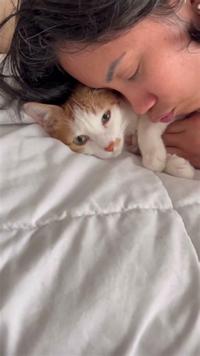 Cuddling My Cat In Bed Until I Realized She Smells Like Cat Food #cat #shorts #catvideos