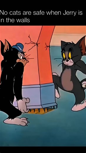 Explaining Cartoons | Follow me👉@explainingcartoons In Baby Butch (1954), one of the standout gags comes when Tom and the mobster-styled alley cat team up to... | Instagram