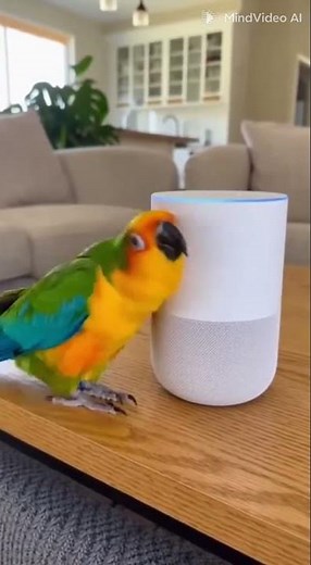 Talking Parrot Asks Alexa to Play Music and Starts Dancing 😂🦜🎶