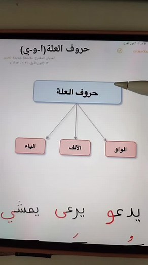 حروف العلة في اللغة العربية والكردية