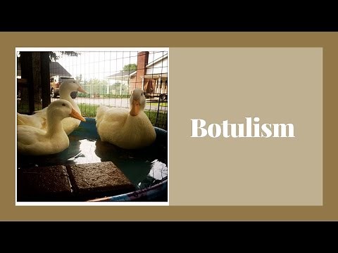 How to Tell Your Duck Has Botulism: Symptoms and Treatments