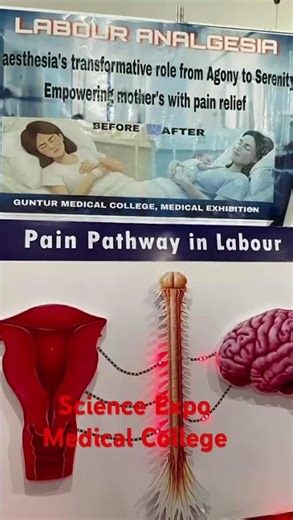 Easy STEM Building Blocks for Kids! 🧱 #viral #education #learning