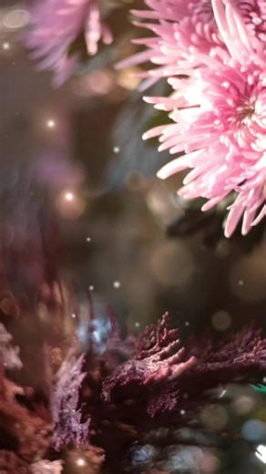 Top 10 90s Tamil Love Songs Compilation