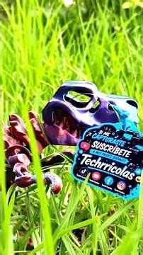 🎁 ¡Acabamos de esconder figuras GRATIS por toda la ciudad! ¿Encontrarás una?