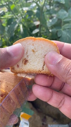 Fruit cake 🍰 unwrapping #satisfying
