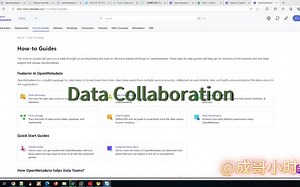 15openmetadata之数据协作