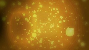 Beer Bubbles Abstract Animated Looping Background
