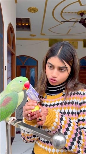 🦜तोता पैसे चुराने गया🥰#Parrot #video #training 👌❤️#Parrot #dosti #video #pigeon #video #training