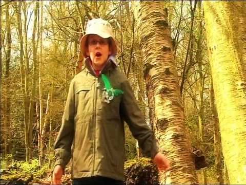 Green Balloon Club: Listen