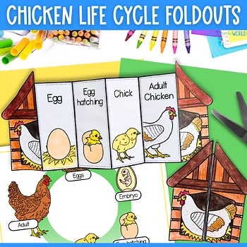 Life cycle of a chicken chick sequencing craft activity spring cut and paste