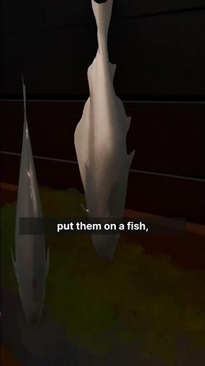 Learn how to use the Brushstroke Tools extension to build painterly scenes in Blender. 🖌️