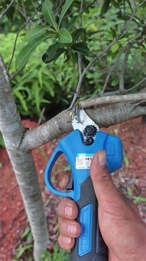 ‌Professional pruning shears cutting thick branches! #gardening #toolsatisfying