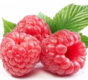 [Hot Item] Chinese Hot Sale Premium IQF Frozen Raspberry Whole IQF Raspberry Brokens