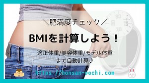 肥満度チェック！あなたのBMIを計算してみよう | くろすけノート