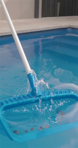 Easy Pool Cleaning with the Hy-Clor Leaf Shovel 🍂