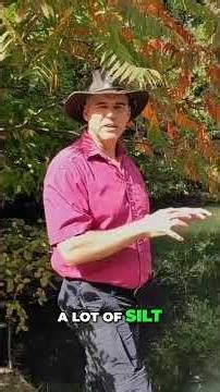 Pond Problems: See How Pollution Hurts Aquatic Ecosystems! #shorts