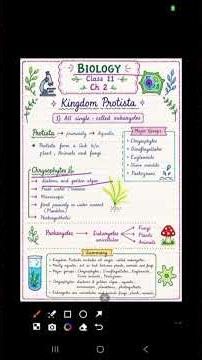 Kingdom Protista Class 11 Biology | Ch 2 NCERT Notes + Quick Revision