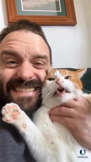 Cat imitations are WILD 🐱 🐈