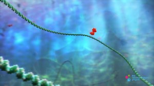 Using Genetic Engineering to Make Vaccines - Vaccine Makers Project