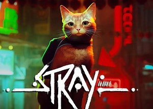 【攻略】浪貓Stray 白金 感想與攻略 @PS5 / PlayStation5 哈啦板 - 巴哈姆特