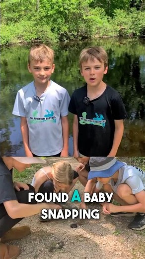 Baby Snapping Turtles Have Spikes?! 🐢🤔 #Shorts