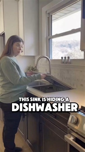 This Sink Is Also a Dishwasher. #shorts #home #kitchen