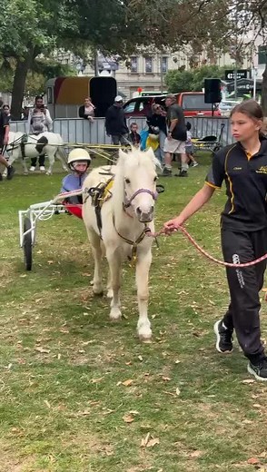 Miniature Pony Kart Rides: Unforgettable Experiences