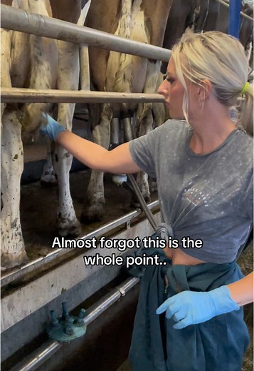 Farm Fresh Milk: Embracing Local Dairy Production