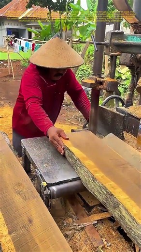 Cutting Through Wood: The Art of Precision