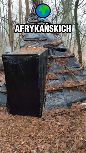 My Tipi "in the Forest"!! 😎🏕️This is how I spent my FIRST Night IN THE WILD!!🤪 #bushcraft #campin...