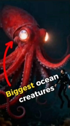 The Largest Sea Creatures EVER Discovered 🌊 #animals