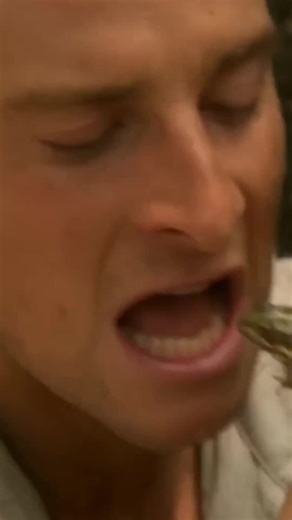 Humane Frog Catching Techniques for Survival