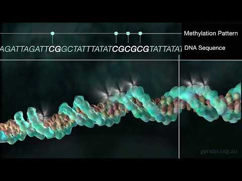 DNA methylation