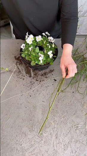 DIY: Verwandelt eine schwarze Backform in eine Vase mit Hornveilchen🌸