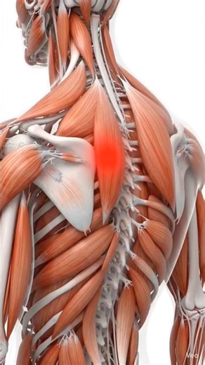 Trigger Point Release | Upper Trapezius Release | DukhNiwaran Physio