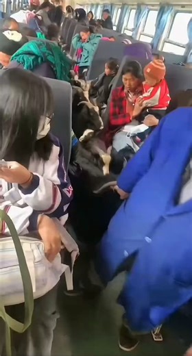 Beyond China's world-famous high-speed rail, there's another side to its trains: This is the "village slow trains" (公益慢火车) winds through remote mountains in Guizhou.Farmers casually bring goats, pigs, chickens, ducks, fruits, and vegetables on board to sell in town. Lowest ticket: just 2 yuan (~$0.28). No extra charge for livestock. 81 pairs still run nationwide, mainly -a public welfare lifeline for rural communities.