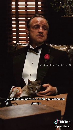 #крестныйотец #фильмыпромафию #донкорлеоне #godfather