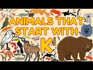 68 Animals That Start With the Letter K | Learn Animal Names | Eager Minds Academy