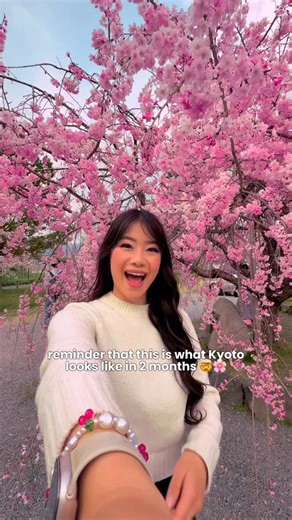 Check out our full YouTube vlog with our 3-day Kyoto sakura itinerary: https://youtu.be/ilYHoHKYNoY?si=5M9erKQLFW5ay51l 🌸✨ We’ve been to Kyoto so many times, but this trip was extra special because we got to experience it during cherry blossom season. It seriously felt unreal. From Philosopher’s Path to Arashiyama, this city is especially beautiful this time of year. If you’ve ever dreamed of seeing cherry blossoms in Japan, Kyoto is definitely the place. Watch our full YouTube video for our pe