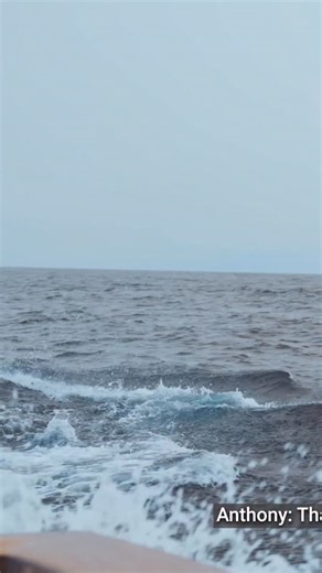 Big Game Fishing Azores! 3rd Biggest Fish of the Badco World Tour. Full film is now live on the BADCO YouTube Channel. | Bad Company Fishing Adventures