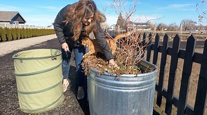 Pruning Blueberries & Starting Herb Seeds! 🫐🌿🪴 | Garden Answer