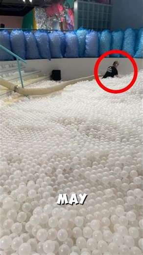 The Secret Behind the Adult Ball Pit 🤯⁉️