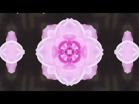 Synergetics Journal Video #40 Philosophical Recognition of Life Mar 18, 2026