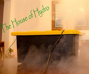 Make a Humidifier for Your Home or Greenhouse... That Works!