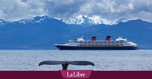 Les baleines, victimes silencieuses du trafic maritime: "La mortalité due aux collisions avec des navires peut faire la différence entre l'extinction et la survie"