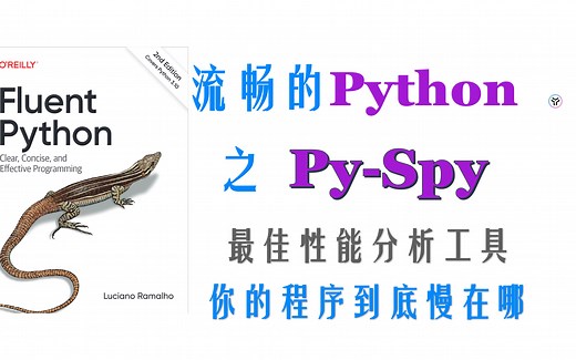 【Python进阶】Py-spy—最佳性能分析工具，你的程序到底慢在哪
