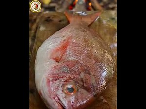 Solo Camping Cooking: Easy & Delicious Meals in the Wild 🏕️🔥 Ep6